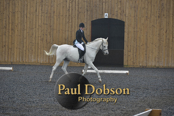 dressage-6491