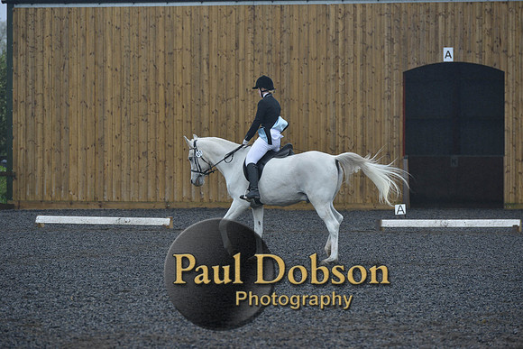 dressage-6474