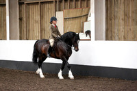 Class 19-BSPS RIHS Heritage M and M Open Ridden Welsh C D