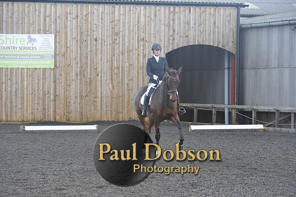 dressage-7317