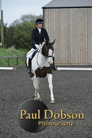 dressage-5924