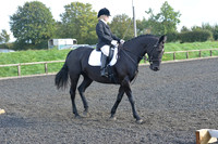 dressage-6859