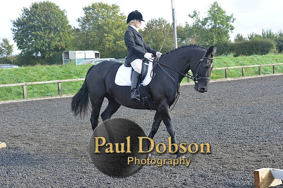 dressage-6859
