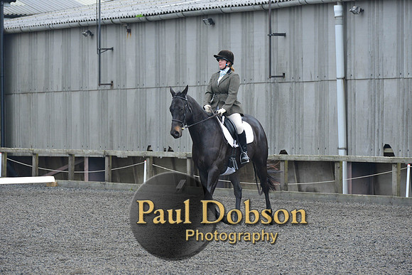 dressage-5457