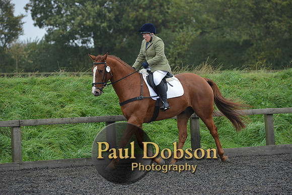 dressage-6309
