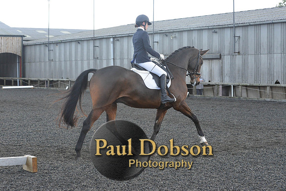 dressage-7329