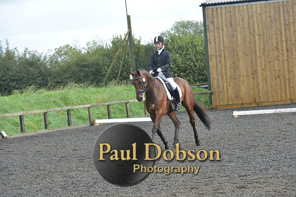 dressage-6901
