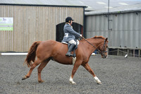 dressage-5416