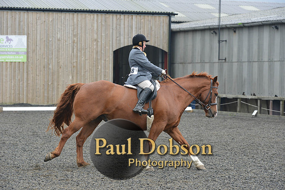 dressage-5416