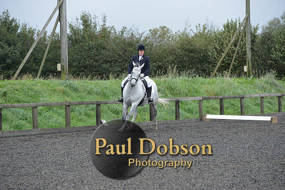 dressage-5952