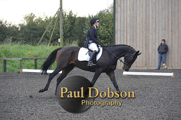 dressage-4509