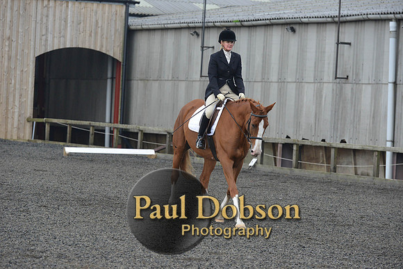 dressage-4526