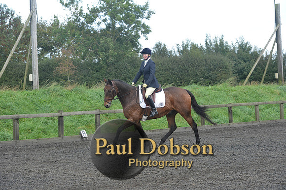 dressage-7256