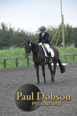 dressage-5174