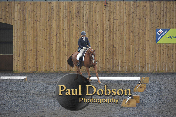 dressage-6619