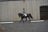 dressage-6289