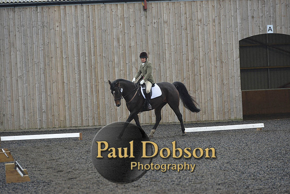 dressage-6289