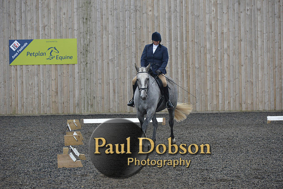 dressage-4898