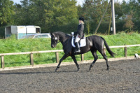 dressage-6858