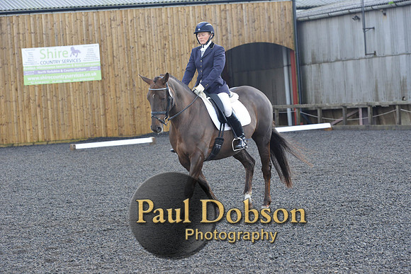 dressage-6884