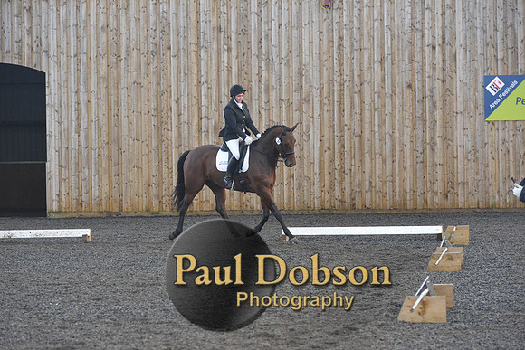dressage-7321