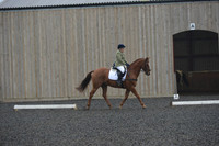 dressage-6293