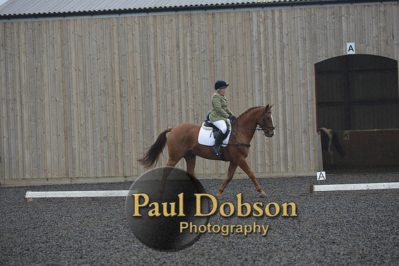 dressage-6293