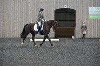 dressage-4869