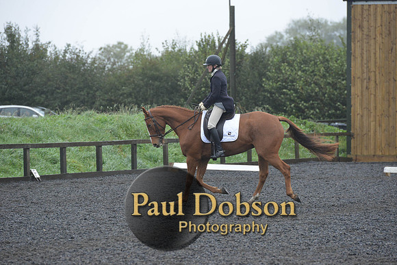 dressage-6623
