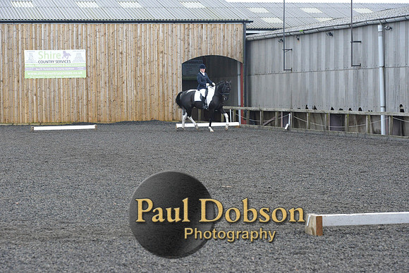 dressage-7234
