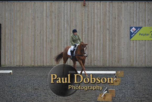 dressage-6298