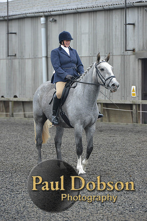 dressage-4925