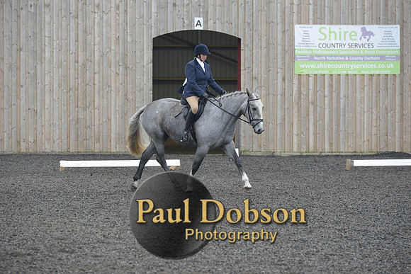 dressage-4900