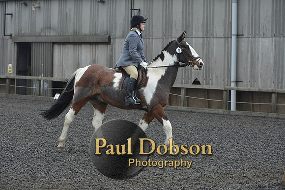 dressage-6325