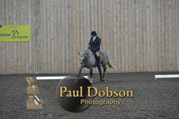 dressage-4915