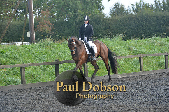 dressage-6813