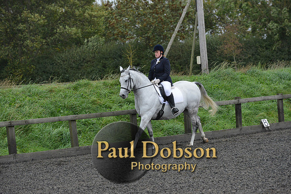 dressage-5970