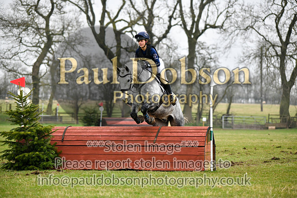 xc2_1195r