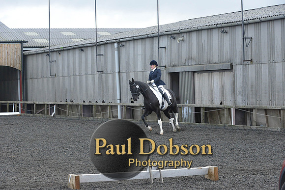 dressage-7235
