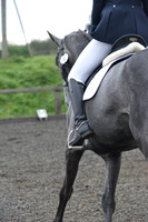 dressage-4109
