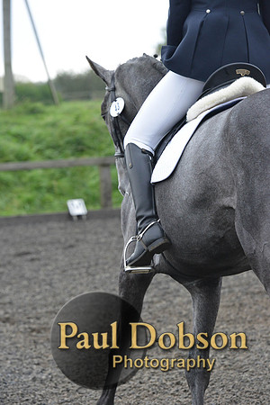 dressage-4109