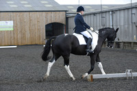 dressage-7237