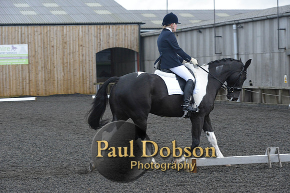 dressage-7237