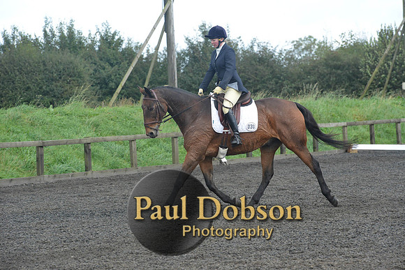 dressage-7266