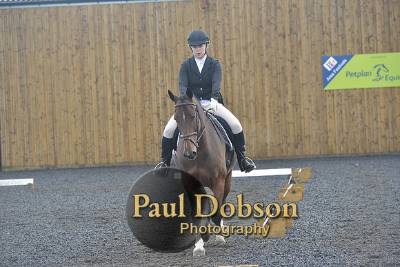 dressage-6752