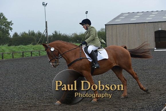 dressage-6296