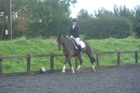 dressage-6743