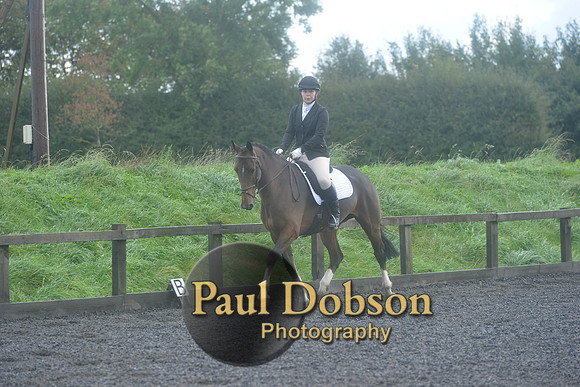 dressage-6743