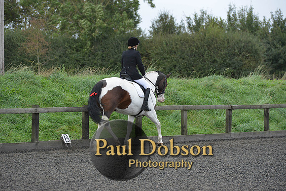 dressage-5927