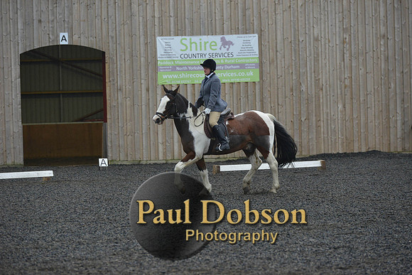 dressage-6326